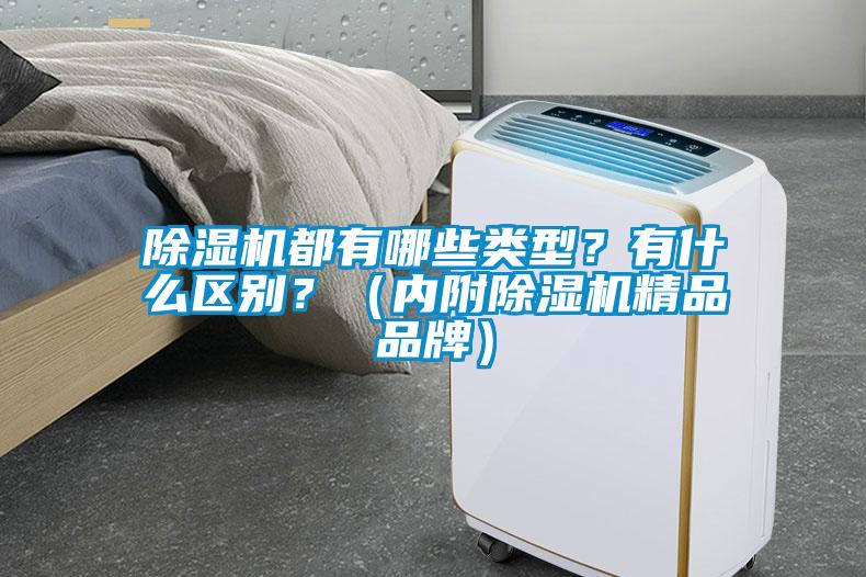 除濕機都有哪些類型？有什么區(qū)別？（內(nèi)附除濕機精品品牌）