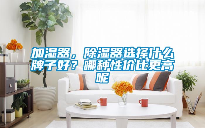 加濕器，除濕器選擇什么牌子好？哪種性價比更高呢