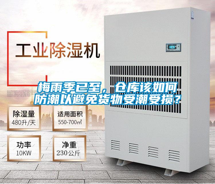 梅雨季已至，倉庫該如何防潮以避免貨物受潮受損？