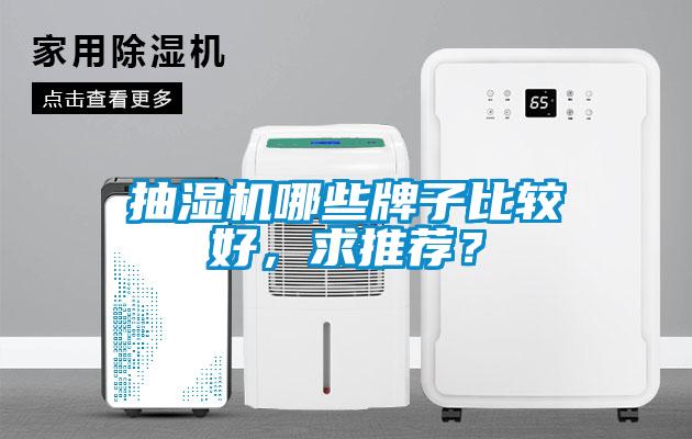 抽濕機哪些牌子比較好，求推薦？