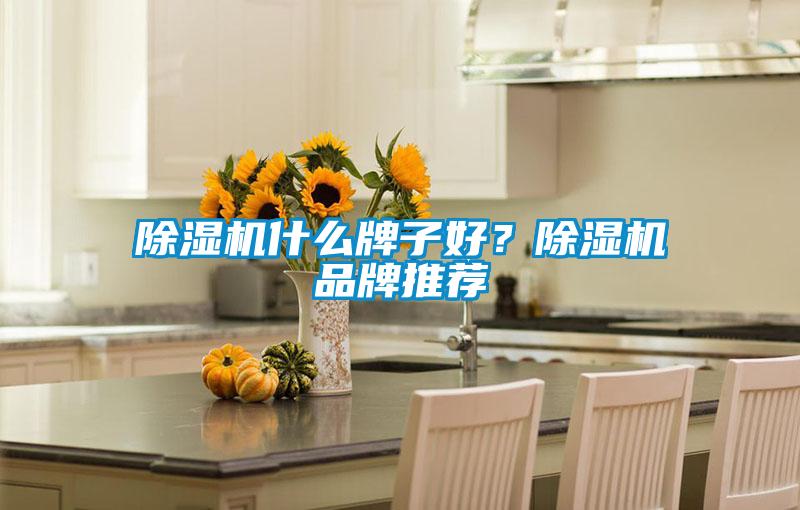 除濕機什么牌子好？除濕機品牌推薦