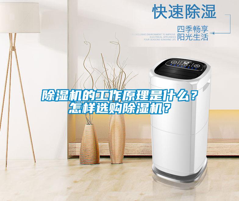 除濕機(jī)的工作原理是什么？怎樣選購除濕機(jī)？