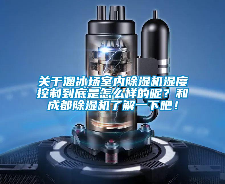 關于溜冰場室內除濕機濕度控制到底是怎么樣的呢？和成都除濕機了解一下吧！