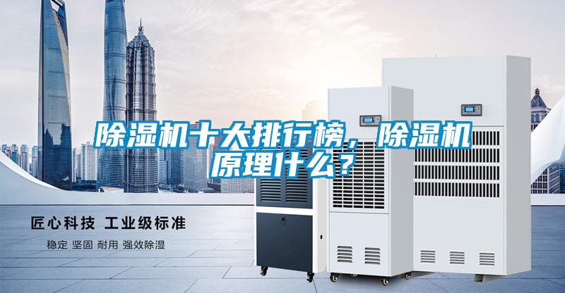 除濕機(jī)十大排行榜，除濕機(jī)原理什么？