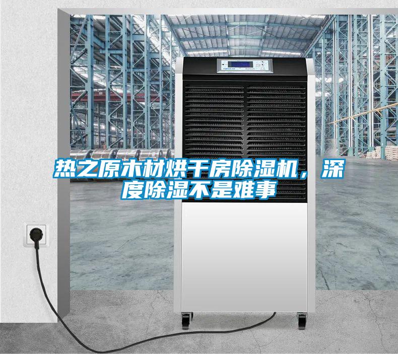 熱之原木材烘干房除濕機(jī)，深度除濕不是難事