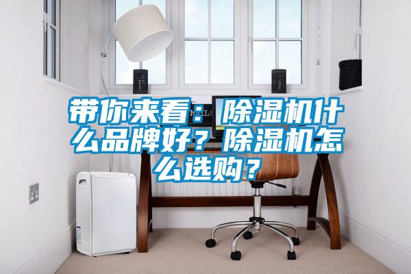 帶你來看：除濕機(jī)什么品牌好？除濕機(jī)怎么選購？