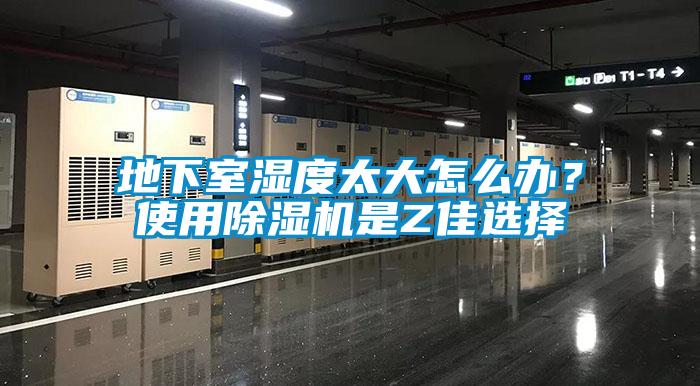 地下室濕度太大怎么辦？使用除濕機是Z佳選擇