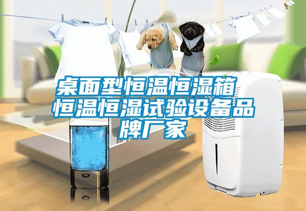 桌面型恒溫恒濕箱 恒溫恒濕試驗設備品牌廠家