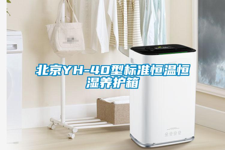 北京YH-40型標(biāo)準(zhǔn)恒溫恒濕養(yǎng)護箱