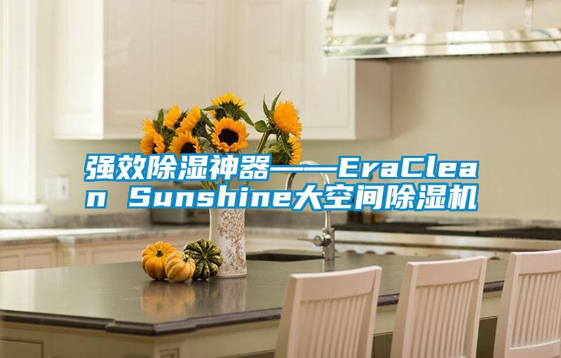 強(qiáng)效除濕神器――EraClean Sunshine大空間除濕機(jī)