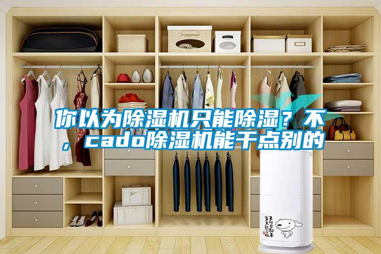 你以為除濕機(jī)只能除濕？不，cado除濕機(jī)能干點別的