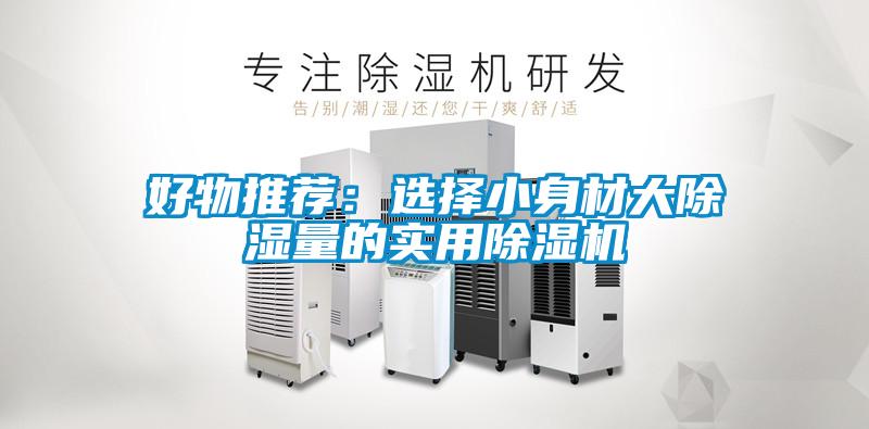 好物推薦：選擇小身材大除濕量的實用除濕機(jī)