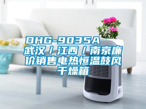 DHG-9035A   武漢／江西／南京廉價銷售電熱恒溫鼓風干燥箱