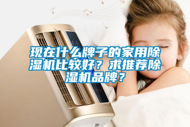 現在什么牌子的家用除濕機比較好？求推薦除濕機品牌？