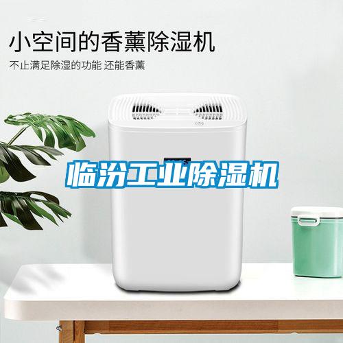 臨汾工業除濕機