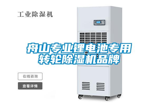 舟山專(zhuān)業(yè)鋰電池專(zhuān)用轉(zhuǎn)輪除濕機(jī)品牌