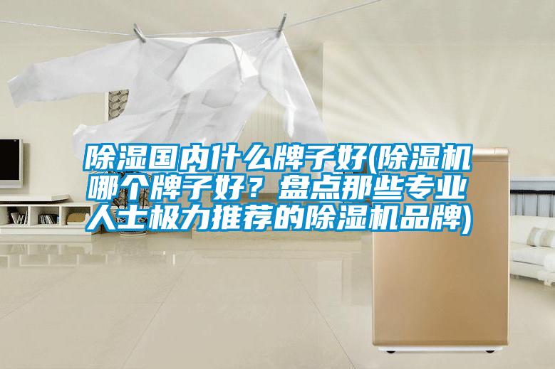 除濕國(guó)內(nèi)什么牌子好(除濕機(jī)哪個(gè)牌子好？盤(pán)點(diǎn)那些專(zhuān)業(yè)人士極力推薦的除濕機(jī)品牌)