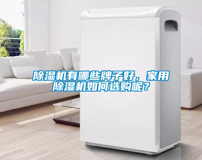 除濕機有哪些牌子好，家用除濕機如何選購呢？