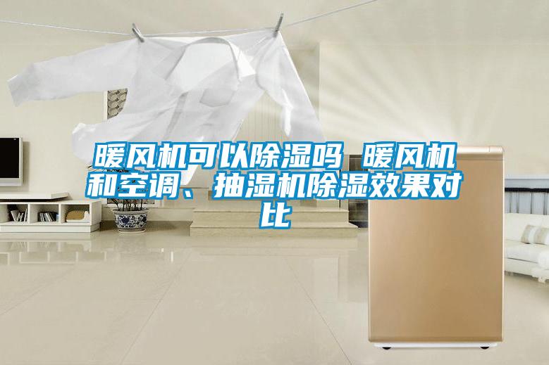 暖風(fēng)機(jī)可以除濕嗎 暖風(fēng)機(jī)和空調(diào)、抽濕機(jī)除濕效果對(duì)比