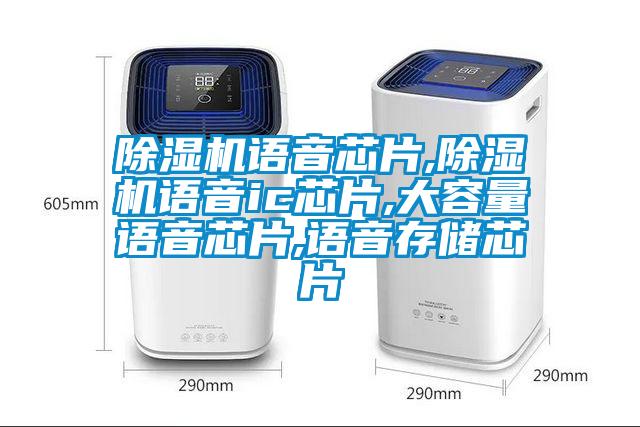 除濕機(jī)語音芯片,除濕機(jī)語音ic芯片,大容量語音芯片,語音存儲芯片