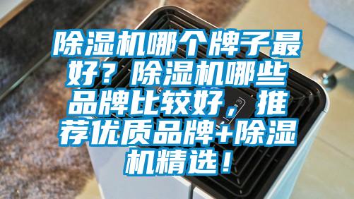 除濕機(jī)哪個(gè)牌子最好？除濕機(jī)哪些品牌比較好，推薦優(yōu)質(zhì)品牌+除濕機(jī)精選！
