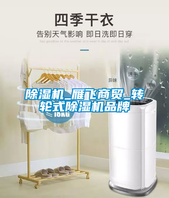 除濕機_雁飛商貿(mào)_轉(zhuǎn)輪式除濕機品牌
