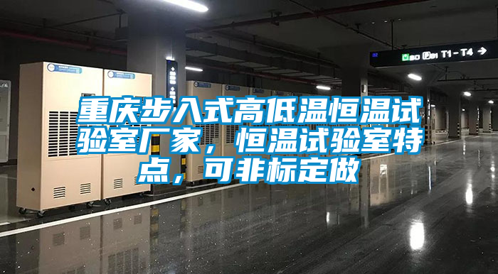 重慶步入式高低溫恒溫試驗室廠家，恒溫試驗室特點，可非標定做