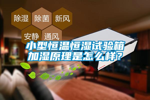 小型恒溫恒濕試驗(yàn)箱加濕原理是怎么樣？