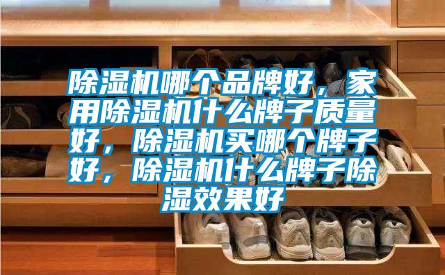 除濕機哪個品牌好，家用除濕機什么牌子質(zhì)量好，除濕機買哪個牌子好，除濕機什么牌子除濕效果好