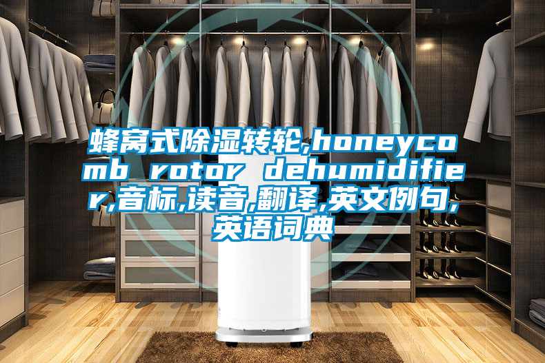 蜂窩式除濕轉輪,honeycomb rotor dehumidifier,音標,讀音,翻譯,英文例句,英語詞典