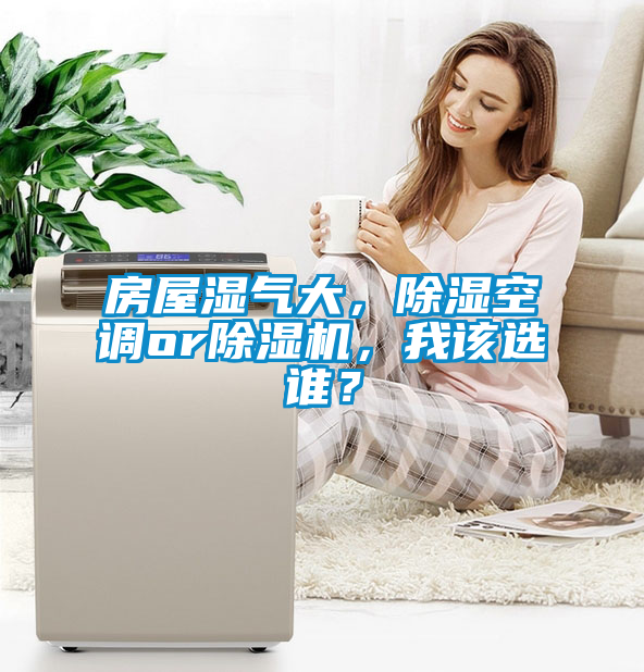 房屋濕氣大，除濕空調(diào)or除濕機，我該選誰？