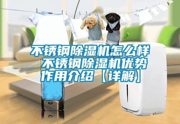 不銹鋼除濕機(jī)怎么樣 不銹鋼除濕機(jī)優(yōu)勢(shì)作用介紹【詳解】