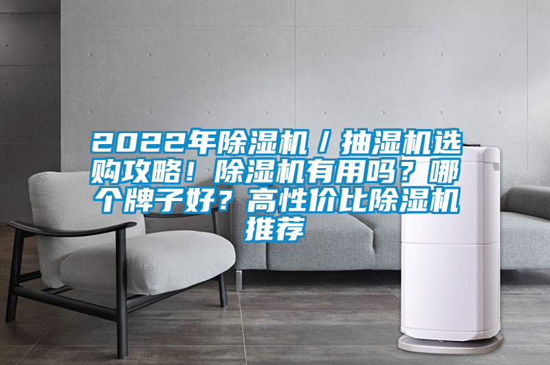 2022年除濕機／抽濕機選購攻略！除濕機有用嗎？哪個牌子好？高性價比除濕機推薦