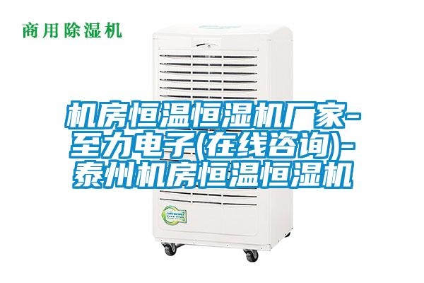 機房恒溫恒濕機廠家-至力電子(在線咨詢)-泰州機房恒溫恒濕機