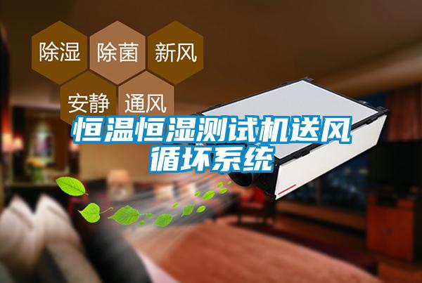 恒溫恒濕測試機送風(fēng)循壞系統(tǒng)