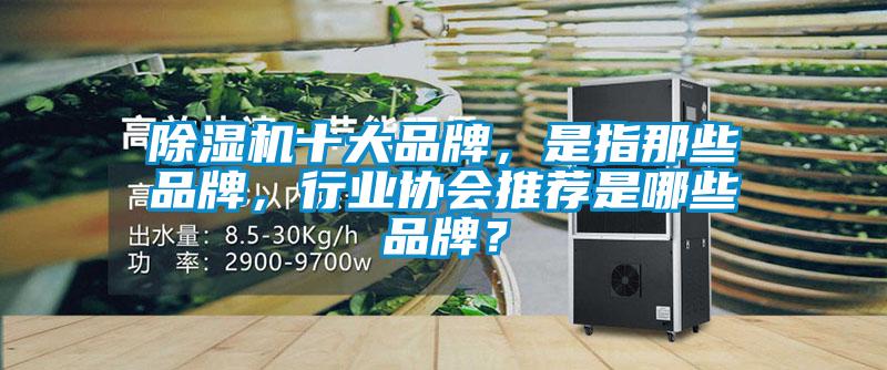 除濕機十大品牌，是指那些品牌，行業(yè)協(xié)會推薦是哪些品牌？