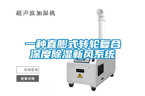 一種直膨式轉輪復合深度除濕新風系統(tǒng)