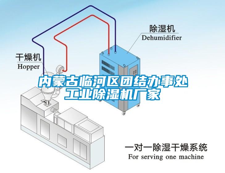 內蒙古臨河區(qū)團結辦事處工業(yè)除濕機廠家