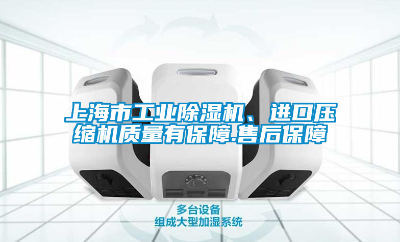 上海市工業除濕機、進口壓縮機質量有保障.售后保障