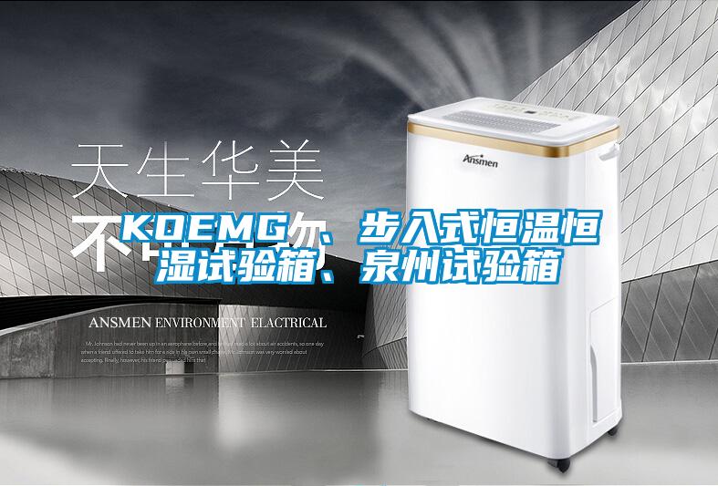 KOEMG 、步入式恒溫恒濕試驗箱、泉州試驗箱