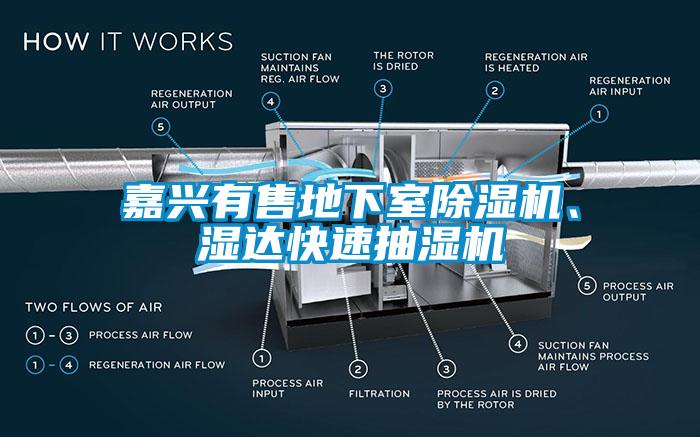 嘉興有售地下室除濕機、濕達快速抽濕機