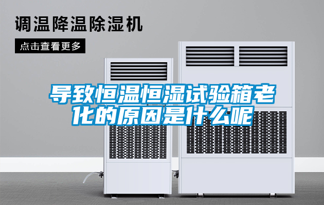 導(dǎo)致恒溫恒濕試驗箱老化的原因是什么呢
