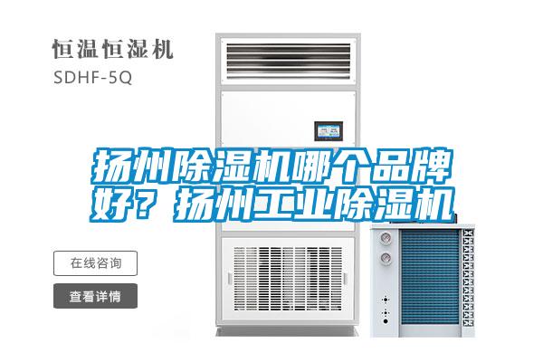 揚州除濕機哪個品牌好？揚州工業除濕機