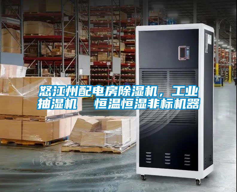 怒江州配電房除濕機，工業(yè)抽濕機  恒溫恒濕非標(biāo)機器