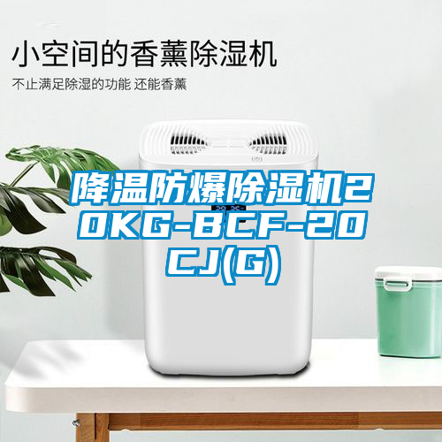 降溫防爆除濕機20KG-BCF-20CJ(G)