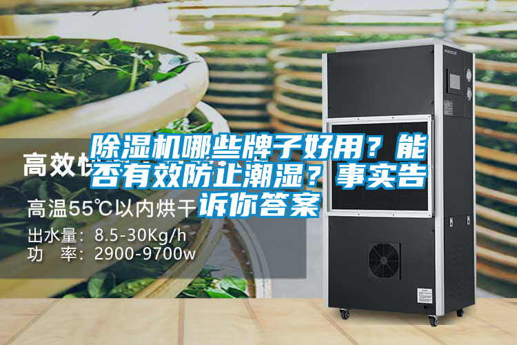 除濕機(jī)哪些牌子好用？能否有效防止潮濕？事實(shí)告訴你答案