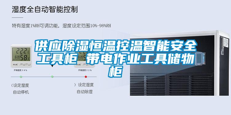 供應(yīng)除濕恒溫控溫智能安全工具柜 帶電作業(yè)工具儲(chǔ)物柜