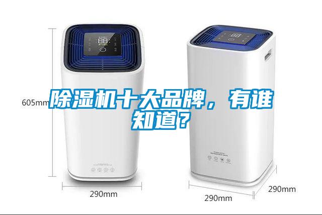 除濕機十大品牌，有誰知道？