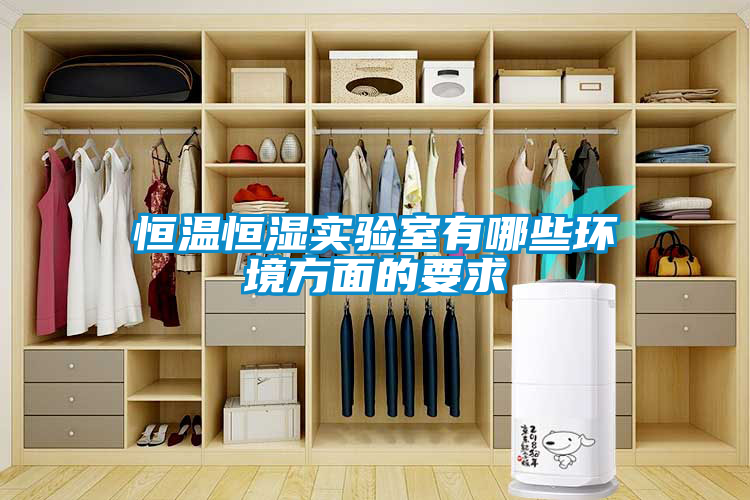 恒溫恒濕實(shí)驗室有哪些環(huán)境方面的要求