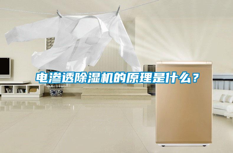 電滲透除濕機(jī)的原理是什么？